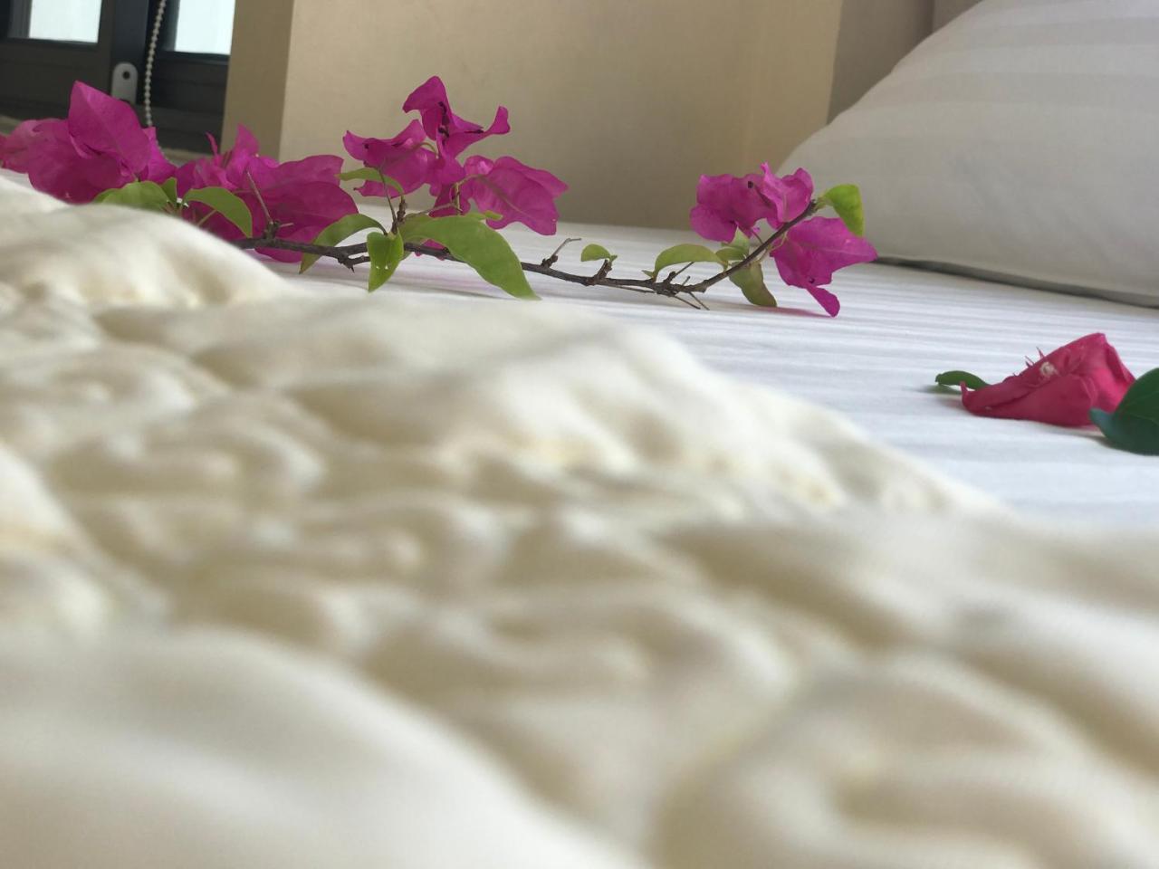 Ha Vy Hotel Cat Ba Island Luaran gambar